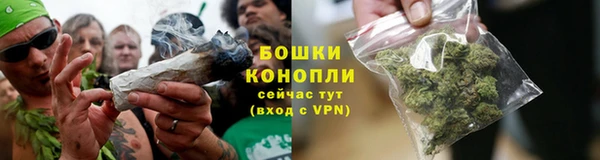 ALPHA PVP Осинники